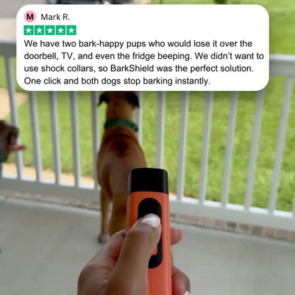 Anti-Barking Training Device