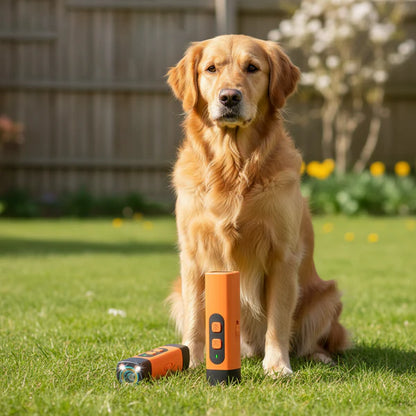 Anti-Barking Training Device