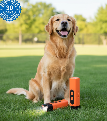 Anti-Barking Training Device