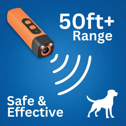 Anti-Barking Training Device